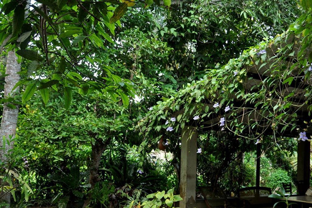Green Corridor - Ahangama Esterno foto